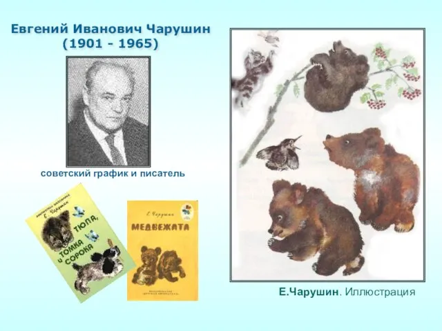 Е.Чарушин. Иллюстрация Евгений Иванович Чарушин (1901 - 1965) советский график и писатель