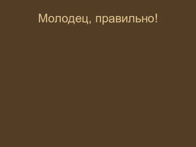 Молодец, правильно!