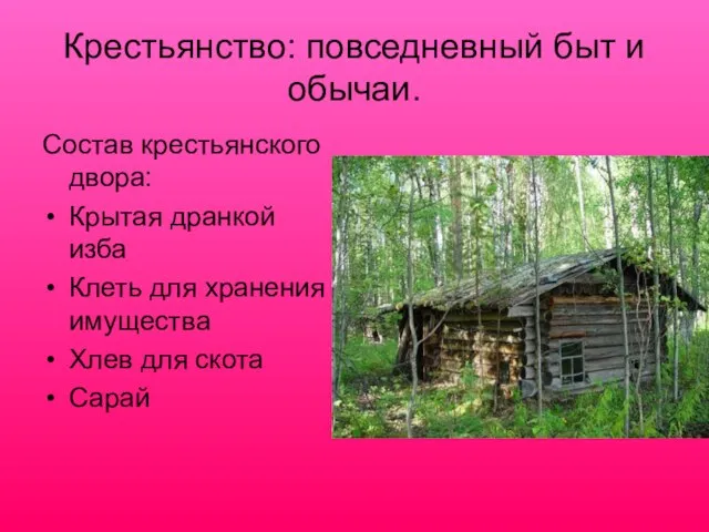 Крестьянство: повседневный быт и обычаи. Состав крестьянского двора: Крытая дранкой изба Клеть