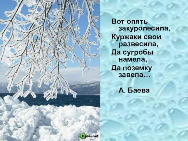 Вот опять закуролесила, Куржаки свои развесила, Да сугробы намела, Да поземку завела… А. Баева