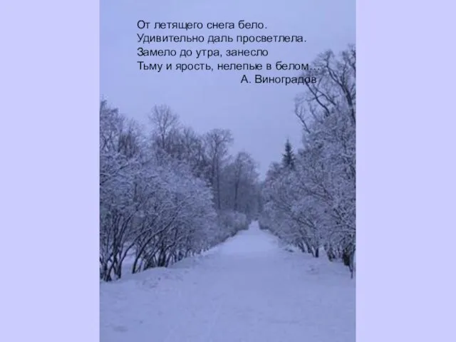 От летящего снега бело. Удивительно даль просветлела. Замело до утра, занесло Тьму