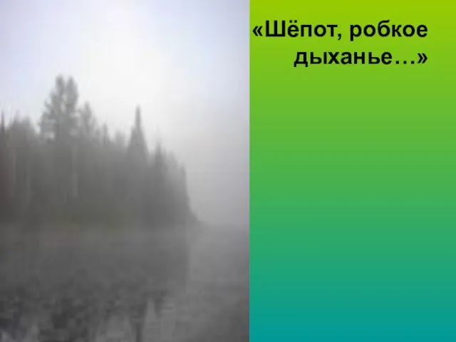 «Шёпот, робкое дыханье…»