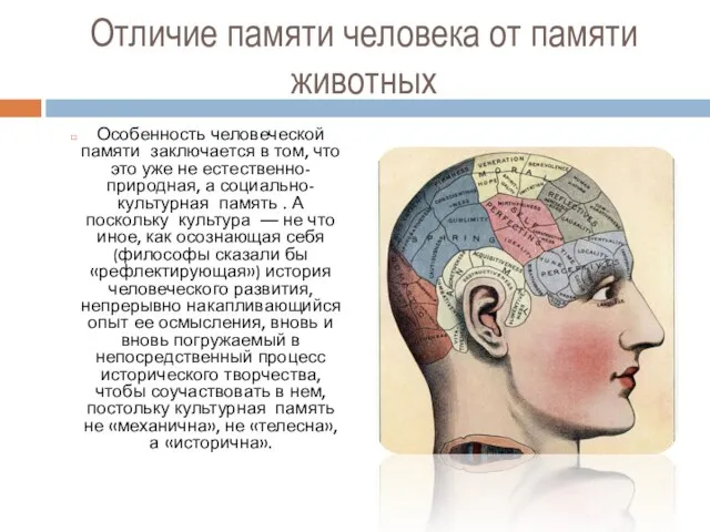 Отличие памяти человека от памяти животных Особенность человеческой памяти заключается в том,