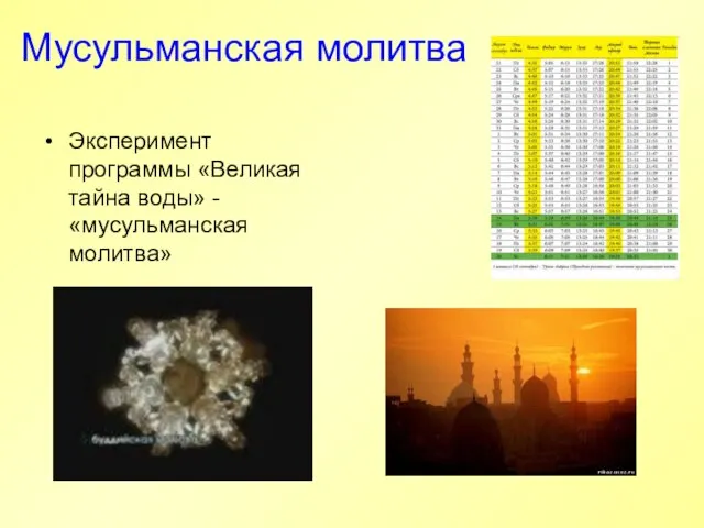 Мусульманская молитва Эксперимент программы «Великая тайна воды» - «мусульманская молитва»