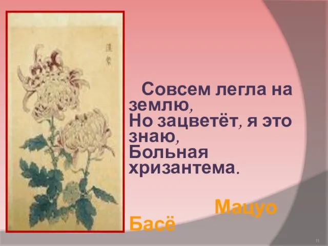 Совсем легла на землю, Но зацветёт, я это знаю, Больная хризантема. Мацуо Басё