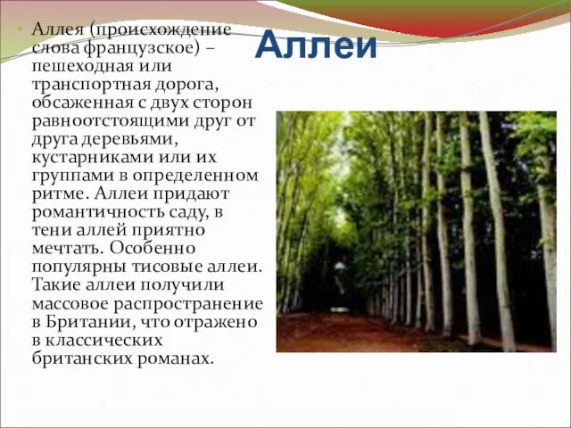 Аллеи Аллея (происхождение слова французское) – пешеходная или транспортная дорога, обсаженная с