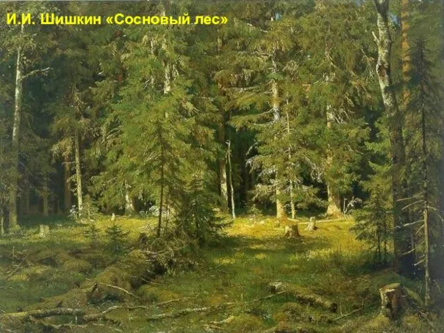 И.И. Шишкин «Сосновый лес»