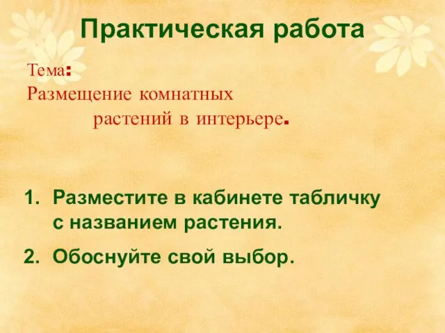 Практическая работа Разместите в кабинете табличку с названием растения. Обоснуйте свой выбор.