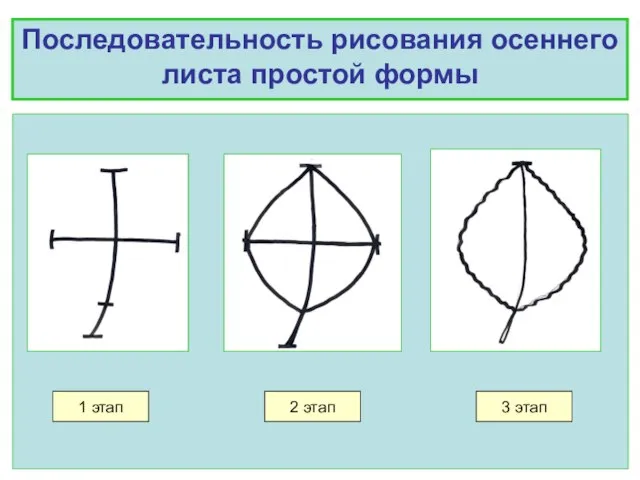 Последовательность рисования осеннего листа простой формы 1 этап 2 этап 3 этап