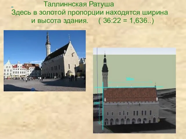 Таллиннская Ратуша Здесь в золотой пропорции находятся ширина и высота здания. ( 36:22 = 1,636..)