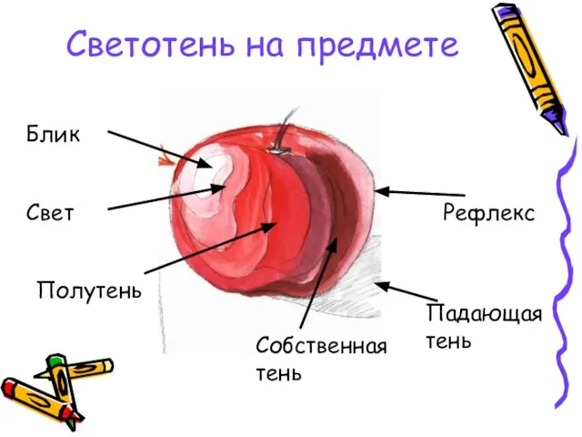 Светотень на предмете Блик Свет Полутень Собственная тень Рефлекс Падающая тень