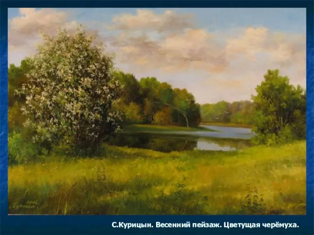 С.Курицын. Весенний пейзаж. Цветущая черёмуха.