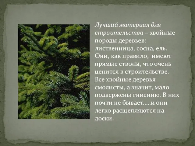 Лучший материал для строительства – хвойные породы деревьев: лиственница, сосна, ель. Они,