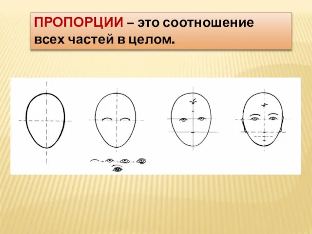 ПРОПОРЦИИ – это соотношение всех частей в целом.