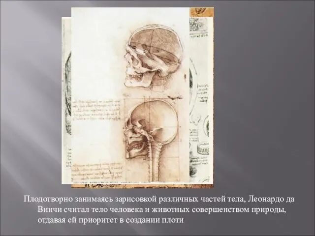 Плодотворно занимаясь зарисовкой различных частей тела, Леонардо да Винчи считал тело человека