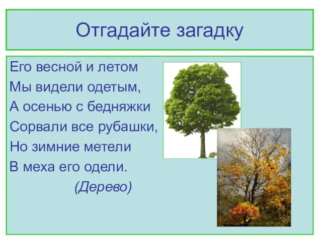 Отгадайте загадку Его весной и летом Мы видели одетым, А осенью с