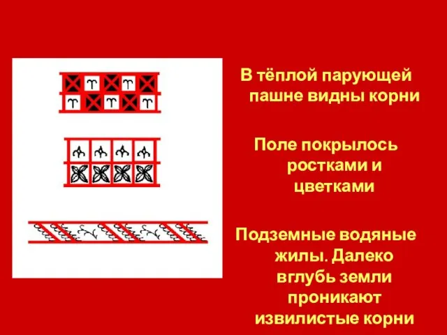 В тёплой парующей пашне видны корни Поле покрылось ростками и цветками Подземные