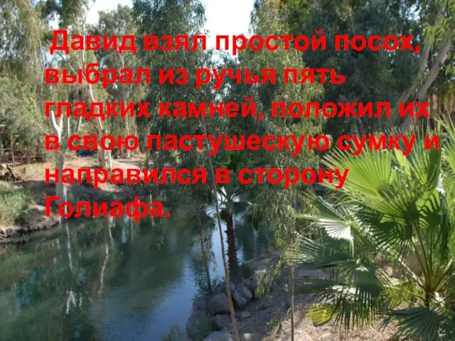 Давид взял простой посох, выбрал из ручья пять гладких камней, положил их