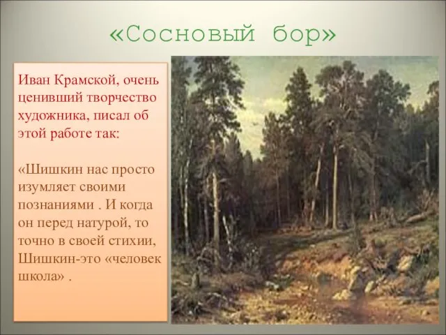 «Сосновый бор» Иван Крамской, очень ценивший творчество художника, писал об этой работе