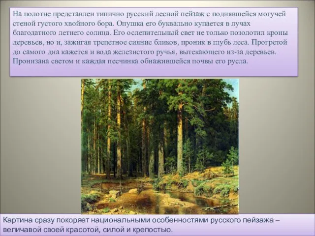 На полотне представлен типично русский лесной пейзаж с поднявшейся могучей стеной густого
