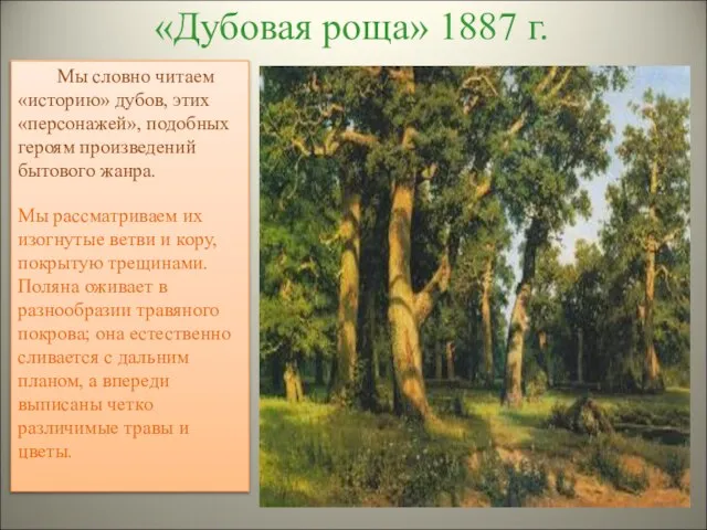 «Дубовая роща» 1887 г. Мы словно читаем «историю» дубов, этих «персонажей», подобных