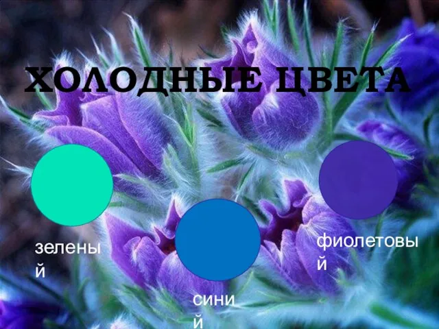 зеленый синий фиолетовый ХОЛОДНЫЕ ЦВЕТА