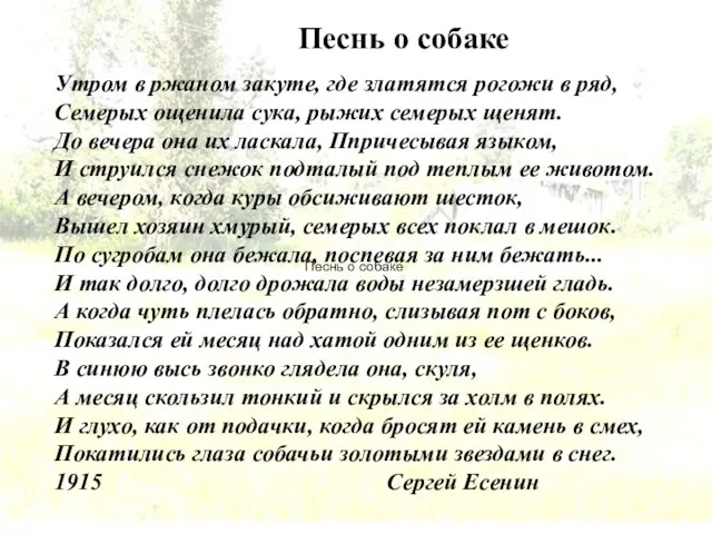 Песнь о собаке Утром в ржаном закуте, где златятся рогожи в ряд,