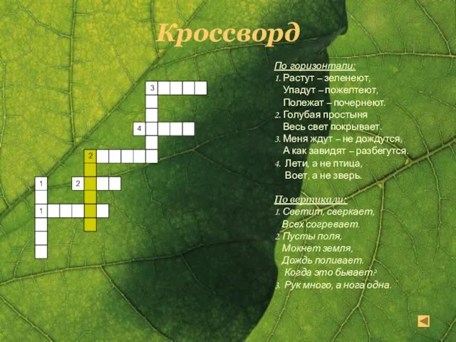 По горизонтали: 1. Растут – зеленеют, Упадут – пожелтеют, Полежат – почернеют.