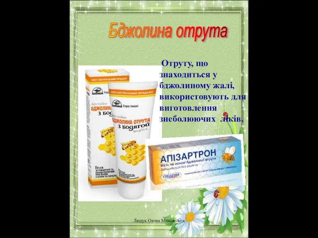 Бджолина отрута Отруту, що знаходиться у бджолиному жалі, використовують для виготовлення знеболюючих ліків. Лящук Олена Миколаївна