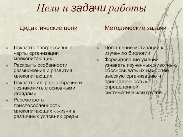 Цели и задачи работы Показать прогрессивные черты организации млекопитающих. Раскрыть особенности размножения