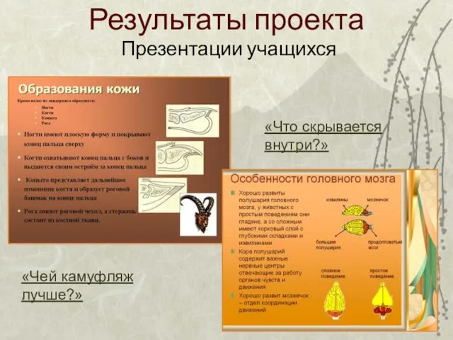 Результаты проекта Презентации учащихся «Чей камуфляж лучше?» «Что скрывается внутри?»