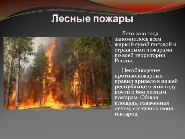 Лето 2010 года запомнилось всем жаркой сухой погодой и страшными пожарами по