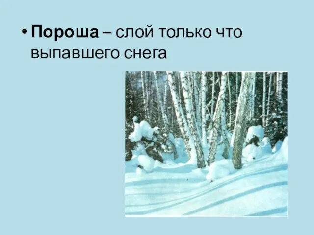 Пороша – слой только что выпавшего снега