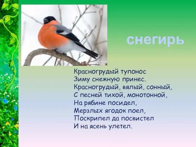 Красногрудый тупонос Зиму снежную принес. Красногрудый, вялый, сонный, С песней тихой, монотонной,