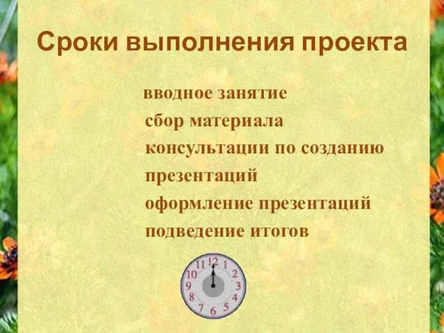 Сроки выполнения проекта вводное занятие сбор материала консультации по созданию презентаций оформление презентаций подведение итогов