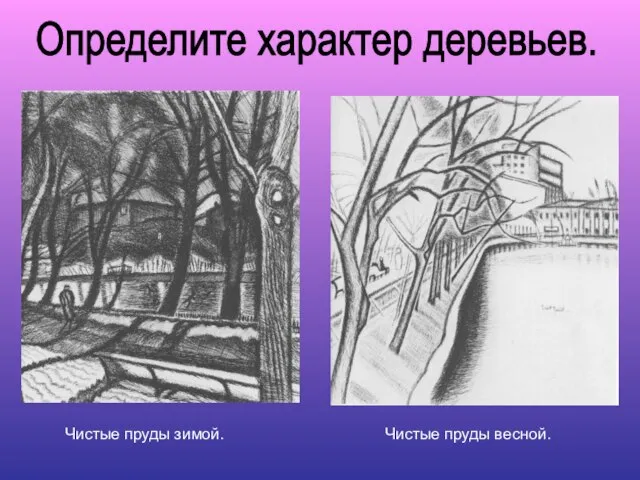 Определите характер деревьев. Чистые пруды зимой. Чистые пруды весной.