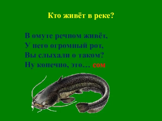 Кто живёт в реке? В омуте речном живёт, У него огромный рот,