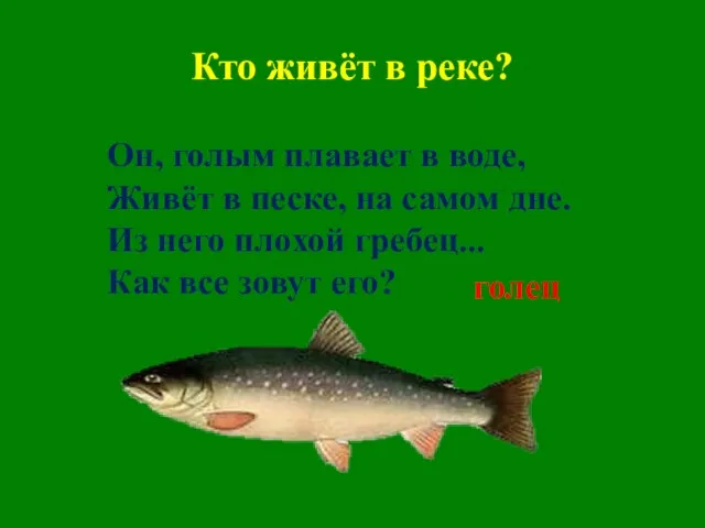 Кто живёт в реке? Он, голым плавает в воде, Живёт в песке,