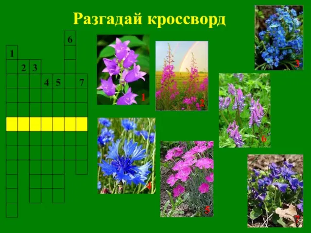 Разгадай кроссворд 2 1 3 4 5 6 7