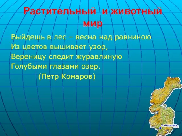 Растительный и животный мир Выйдешь в лес – весна над равниною Из