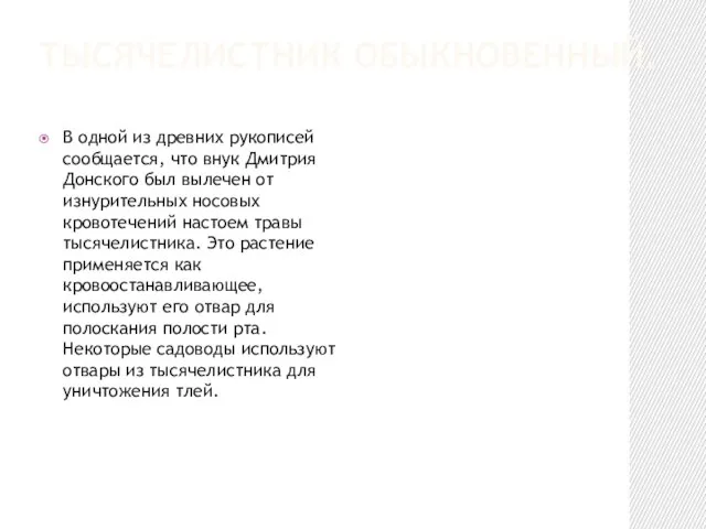 ТЫСЯЧЕЛИСТНИК ОБЫКНОВЕННЫЙ. В одной из древних рукописей сообщается, что внук Дмитрия Донского