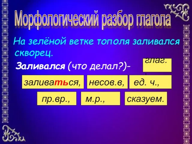 На зелёной ветке тополя заливался скворец. Заливался (что делал?)- сказуем. глаг., м.р.,