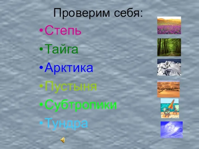 Проверим себя: Степь Тайга Арктика Пустыня Субтропики Тундра