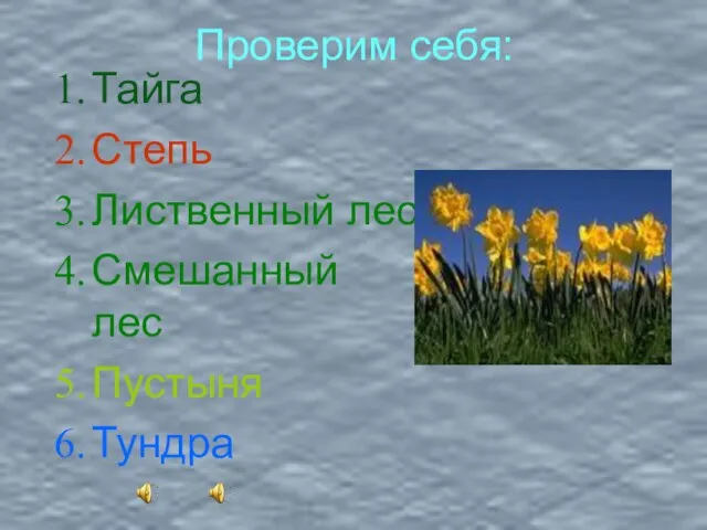 Проверим себя: Тайга Степь Лиственный лес Смешанный лес Пустыня Тундра