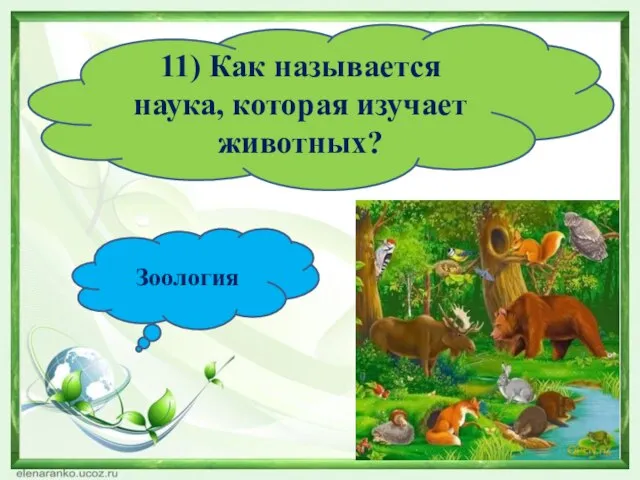 11) Как называется наука, которая изучает животных? Зоология