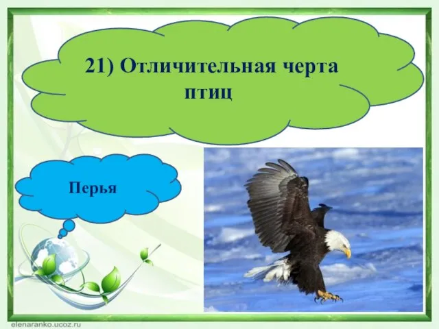 21) Отличительная черта птиц Перья