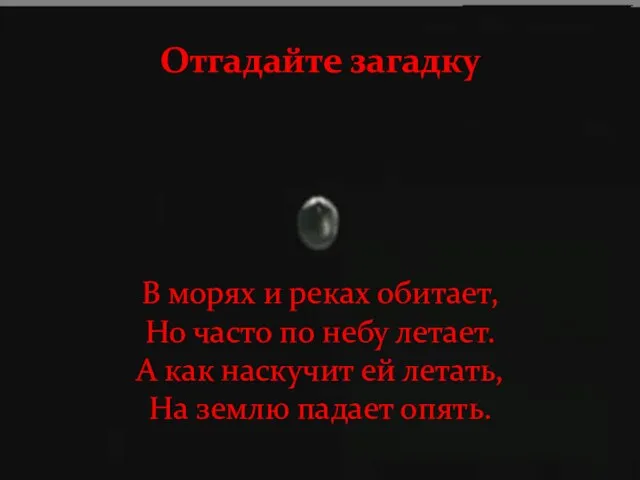 Отгадайте загадку В морях и реках обитает, Но часто по небу летает.