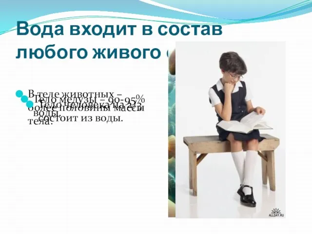 Вода входит в состав любого живого организма. В теле животных – более