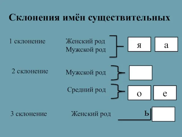 Склонения имён существительных 3 склонение 1 склонение 2 склонение Женский род Мужской