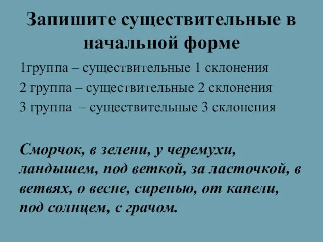 Запишите существительные в начальной форме 1группа – существительные 1 склонения 2 группа